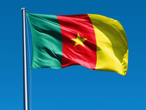 for cameroonian students