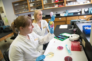 study microbiology in Belarus